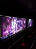 20160827_135124.jpg