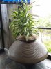 20160827_151809.jpg