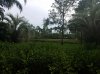20160827_180635.jpg