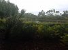 20160827_180717.jpg