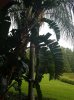 20160827_180722.jpg