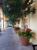 20160827_194359.jpg