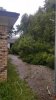 Driveway.jpg