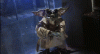 giphy-2.gif