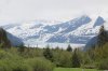 juneau19.jpg