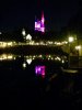 WDW Evening 3.jpg