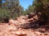 DSCN7996.JPG