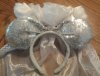 bride ears.jpg