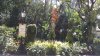 epcot march 2016 007.jpg epcot march 2016 007.jpg