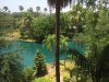 RPR view.jpg