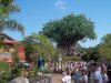 100_2865.jpg