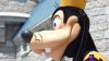 SAM_0305.JPG