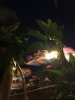 magic carpets of aladdin.jpg