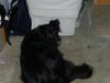 DSCN1437.JPG