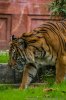 _MG_7216-1.jpg
