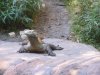 DSCN2761.jpg