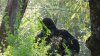 SAM_0821.JPG