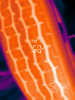 IMGT0011.PNG