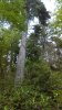 IMAG0441-918x1632.jpg