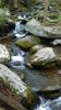 IMAG0498-918x1632.jpg