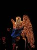 IMG_0743.JPG