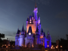 PurpleCastle.png