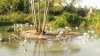 IMAG0995_zpsqs3sri7q.JPG