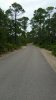 20170729_170406-1494x2656.jpg