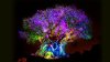 tree-of-life-04.jpg