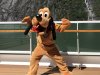 IMG_2395.JPG