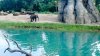 Baby Elephant - Hasn't learned to present only it's butt to the safari.jpg