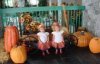 Twins.jpg