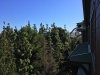 5514_side_view.jpg