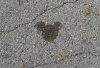 Mickey head.jpg