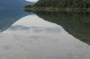 IMG_3565.JPG