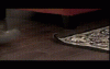 492.gif