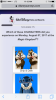 IMG_6276.PNG