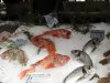fish market.jpg