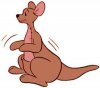 Kanga.jpg