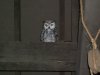 DSCF3883.JPG