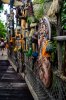 DSC_0417.jpg