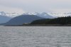 IMG_3689.JPG