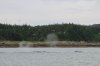 IMG_3672.JPG