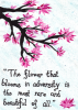 Mulan Quote.png