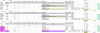 Screen Shot 2017-08-18 at 8.59.12 AM.png
