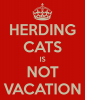 herding-cats-is-not-vacation.png