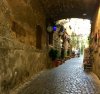IMG_6166.JPG