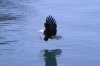 IMG_3832.JPG