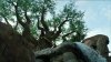 SAM_0759.JPG
