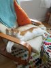 Resized_20170817_150046.jpeg Resized_20170817_150046.jpeg